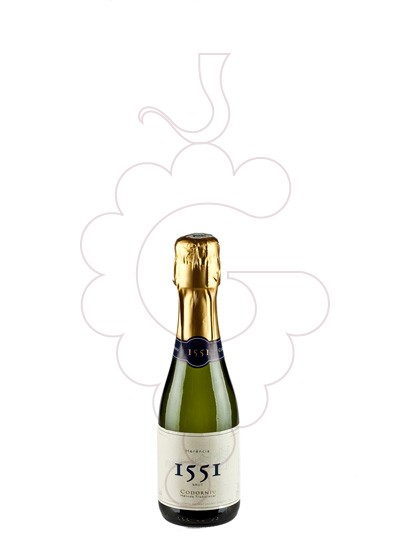 Foto Codorniu 1551 Benjamín vi escumós