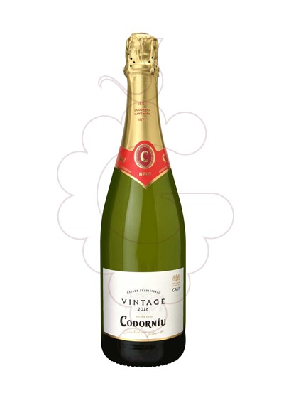 Foto Codorniu Vintage Magnum vi escumós