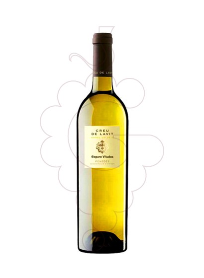 Foto Creu de Lavit Blanc vi blanc
