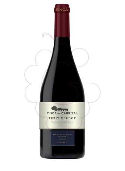 Foto Finca Caiz Carrizal Petit Verdot Magnum vi negre