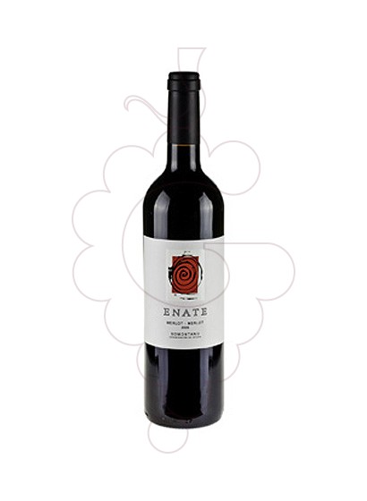 Foto Enate Merlot-Merlot vi negre