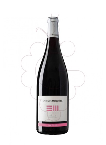 Foto Enrique Mendoza Pinot Noir vi negre