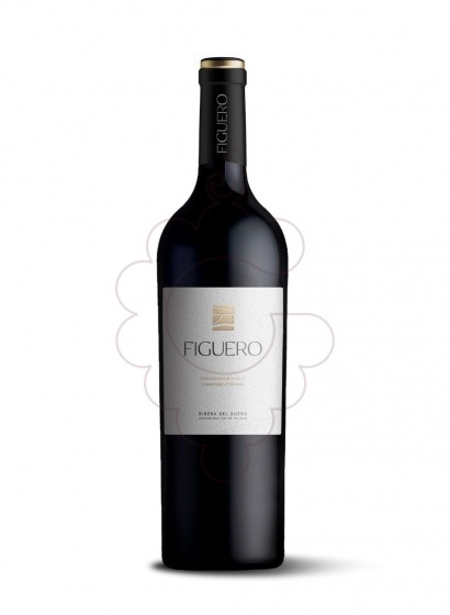 Foto Figuero 12 Meses Crianza vi negre