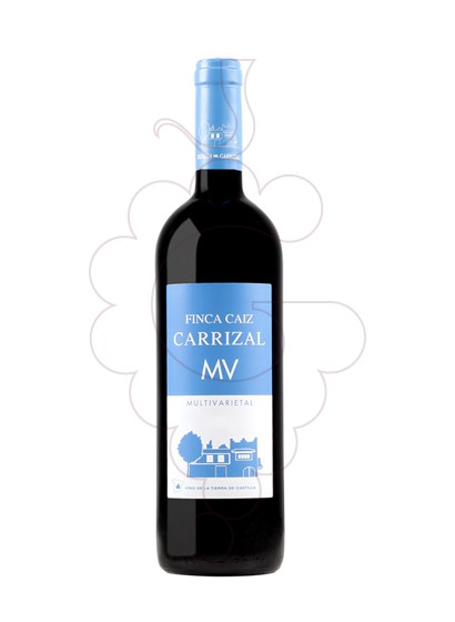 Foto Finca Caiz Carrizal MV vi negre