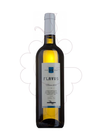 Foto Flavus Blanc vi blanc