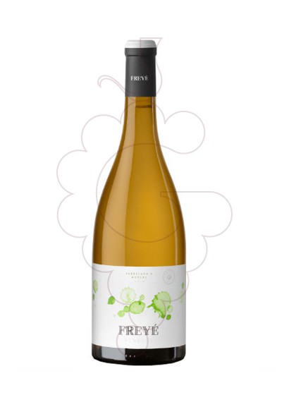 Foto Freyé Parellada Muscat Magnum vi blanc