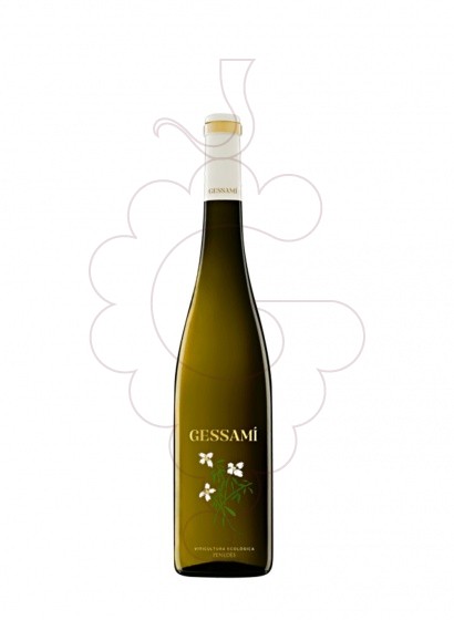 Foto Gramona Gessami (mini) vi blanc