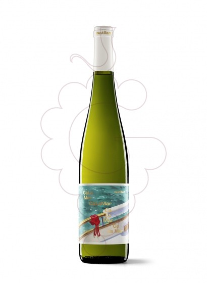 Foto Gramona Mustillant Brut Vi d'Agulla Blanc vi escumós