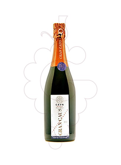 Foto Gran Caus Rosat Brut Nature vi escumós