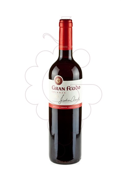 Foto Gran Feudo Crianza vi negre