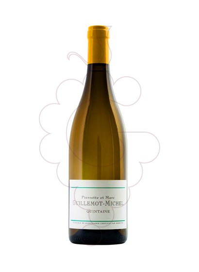 Foto Guillemot-Michel Viré-Clessé Quintaine vi blanc