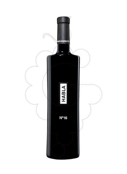Foto Habla Nº 16 vi negre
