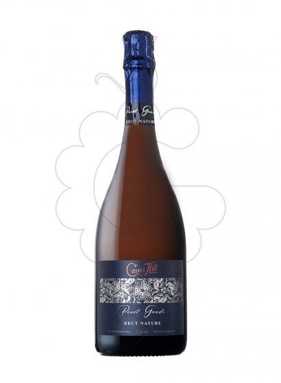 Foto Cavas Hill Brut Nature vi escumós