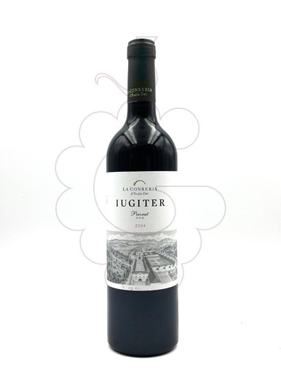 Foto Iugiter vi negre