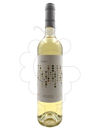 Foto Jaume Grau Grau Picapoll fermentació barrica vi blanc