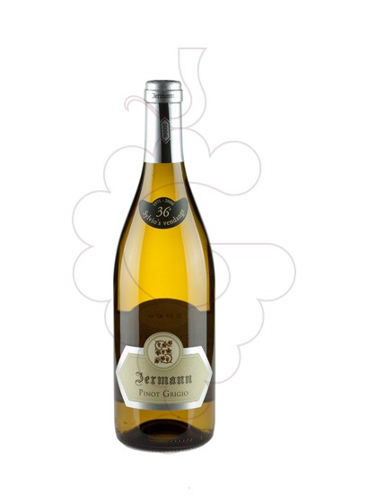 Foto Jermann Pinot Grigio vi blanc
