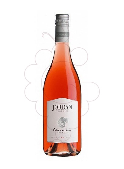 Foto Jordan Chameleon Rosat vi rosat