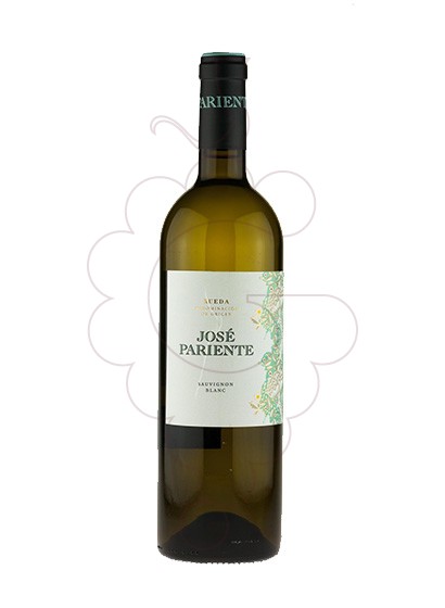 Foto José Pariente Sauvignon Blanc vi blanc
