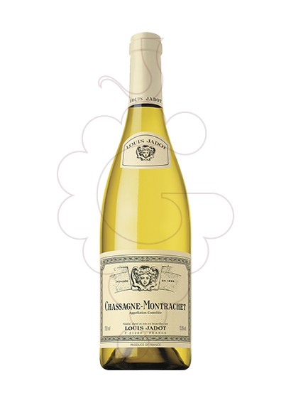 Foto L. Jadot Chassagne-Montrachet Magnum vi blanc