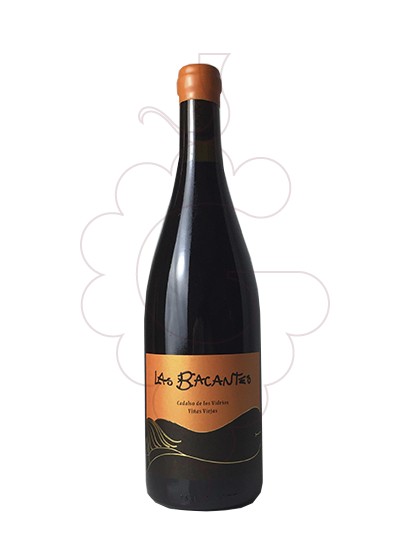 Foto Las Bacantes Viñas Viejas vi negre