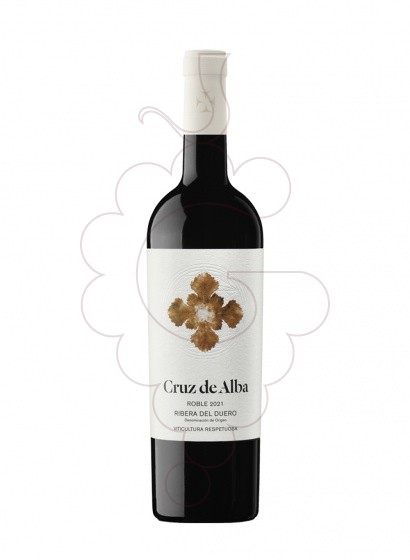 Foto Lucero Cruz de Alba vi negre