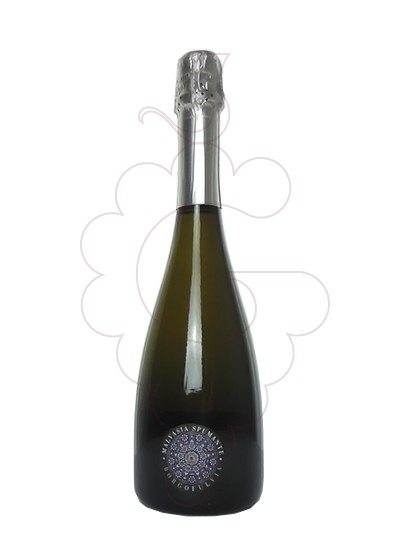 Foto Malvasia Spumante Borgofulvia vi escumós