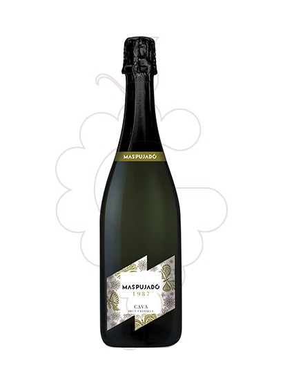 Foto Maspujadó Brut Reserva vi escumós