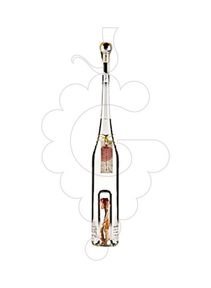 Foto Grappa Mazzetti di Barbera (Rosa)