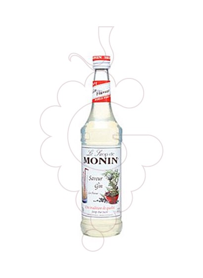 Foto Xarops Monin Saveur Gin (s/alcohol)