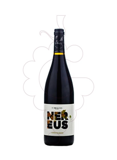 Foto Nereus vi negre