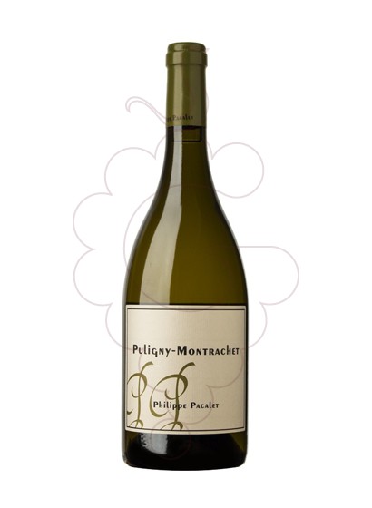 Foto Pacalet Puligny-Montrachet vi blanc