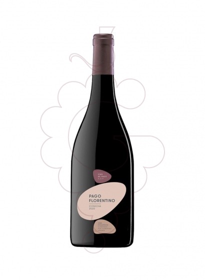 Foto Pago Florentino Magnum vi negre
