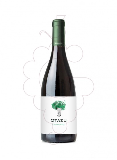 Foto Palacio de Otazu Chardonnay vi blanc