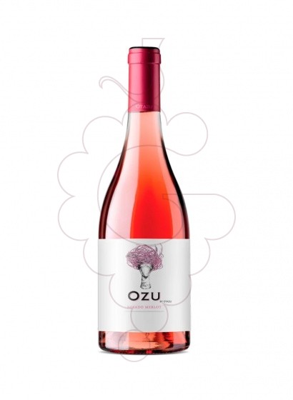 Foto Palacio de Otazu Rosat vi rosat
