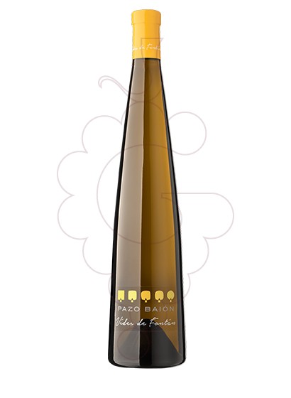 Foto Albariño Pazo Baión Vides de Fontán vi blanc