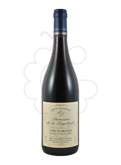 Foto Domaine de la Poyebade Côte de Broully vi negre