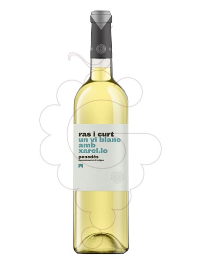 Foto Ras i Curt Xarel·lo vi blanc