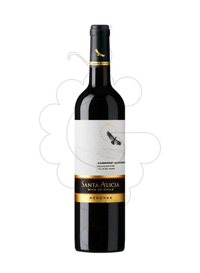 Foto Santa Alicia Carmenere vi negre
