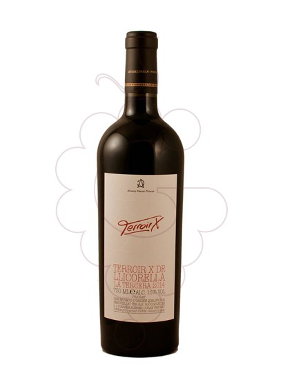 Foto Terroir X La Tercera vi negre