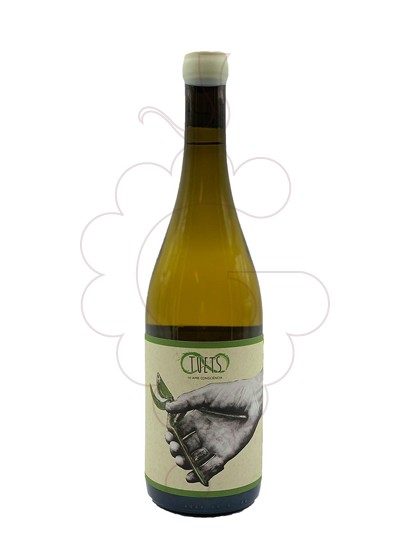 Foto Tuets Chenin Blanc vi blanc