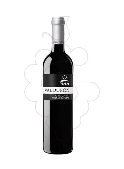 Foto Valdubon Crianza vi negre