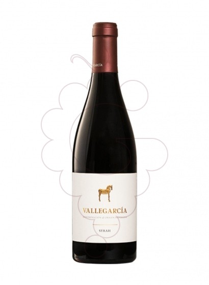 Foto Vallegarcia Syrah vi negre