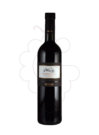 Foto Cesari Valpolicella Classico vi negre