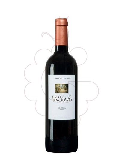 Foto Valsotillo Crianza vi negre