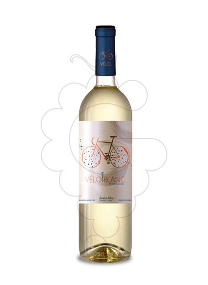 Foto Vélo Blanc vi blanc