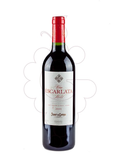 Foto Viña Escarlata Negre Merlot vi negre
