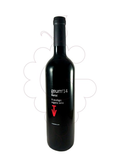 Foto Vins de Taller Geum vi negre
