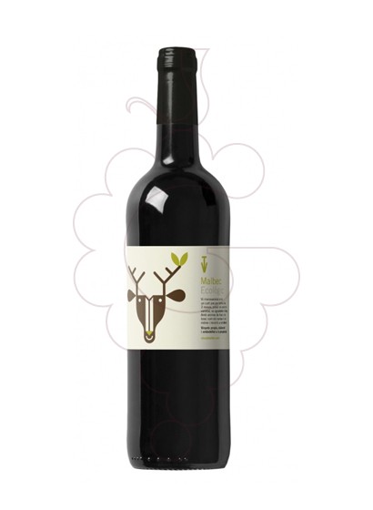 Foto Vins de Taller Cervus vi negre