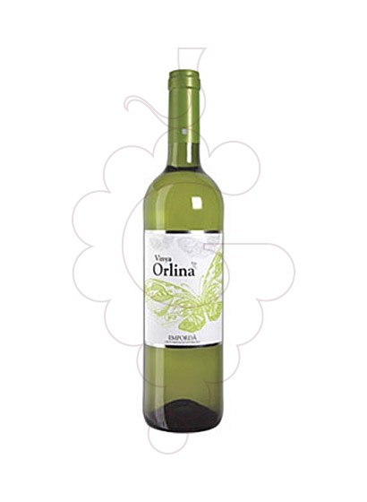 Foto Vinya Orlina Blanc vi blanc