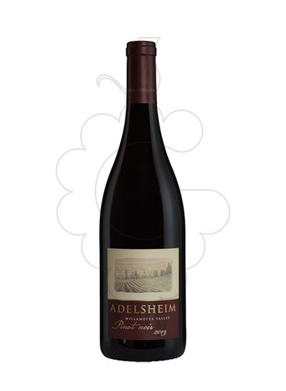 Foto Adelsheim Willamette Valley Pinot Noir vi negre